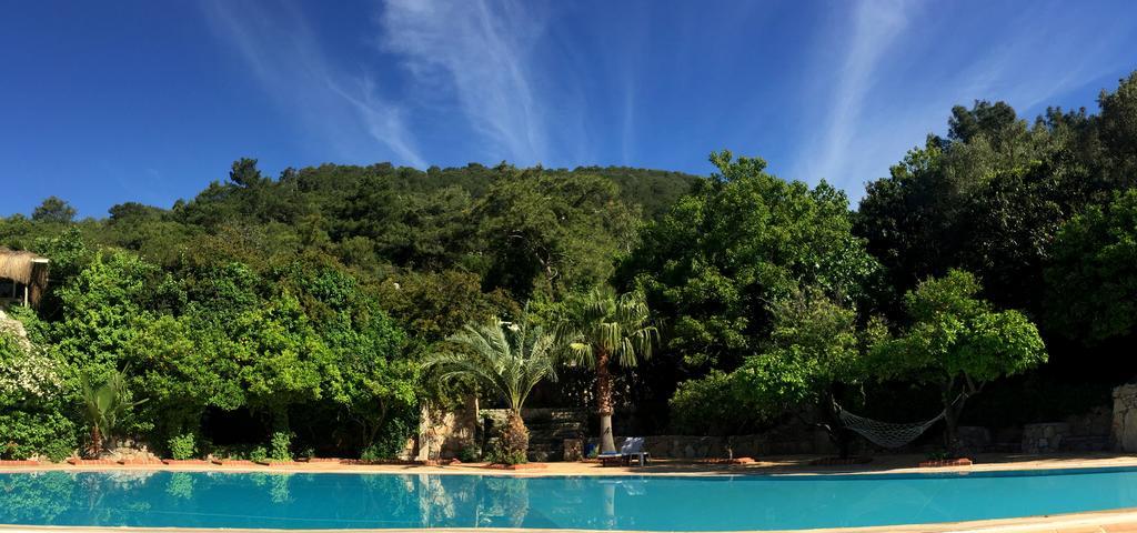Paradise Garden Hotel Öludeniz Exteriör bild
