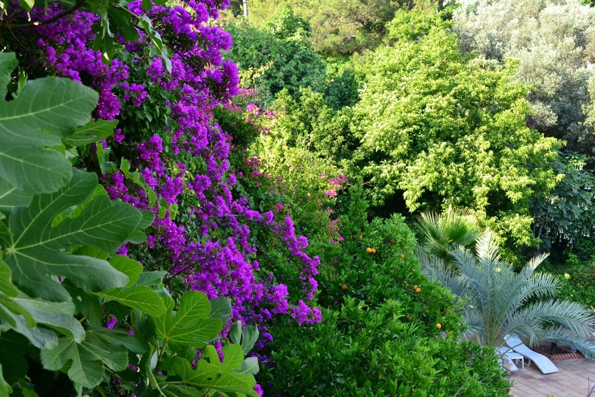 Paradise Garden Hotel Öludeniz Exteriör bild